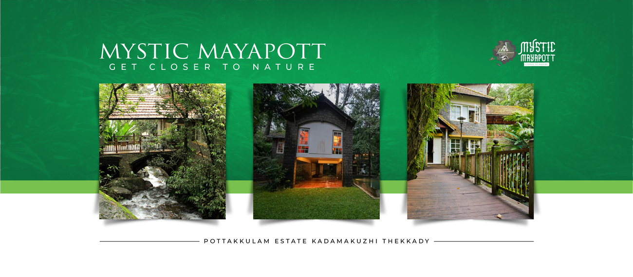 Cover photo of Mystic Mayapott - Kondody Hotels